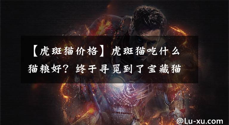 【虎斑猫价格】虎斑猫吃什么猫粮好？终于寻觅到了宝藏猫粮