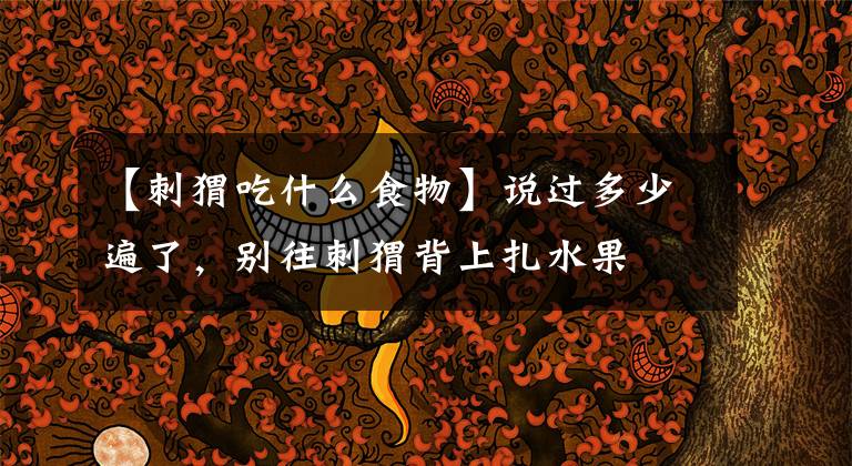 【刺猬吃什么食物】说过多少遍了,别往刺猬背上扎水果