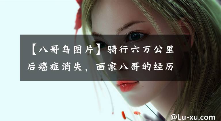 【八哥鸟图片】骑行六万公里后癌症消失，画家八哥的经历堪称奇迹