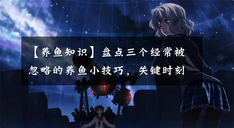 【养鱼知识】盘点三个经常被忽略的养鱼小技巧,关键时刻能救你家宠物鱼的命