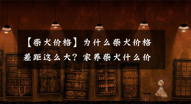 【柴犬价格】为什么柴犬价格差距这么大？家养柴犬什么价位？