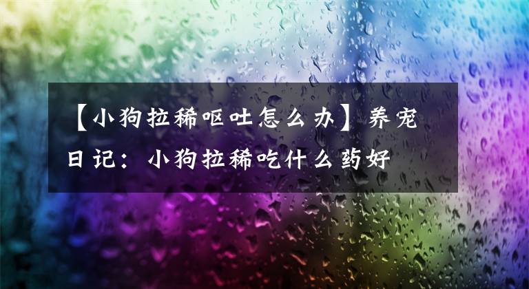 【小狗拉稀呕吐怎么办】养宠日记:小狗拉稀吃什么药好