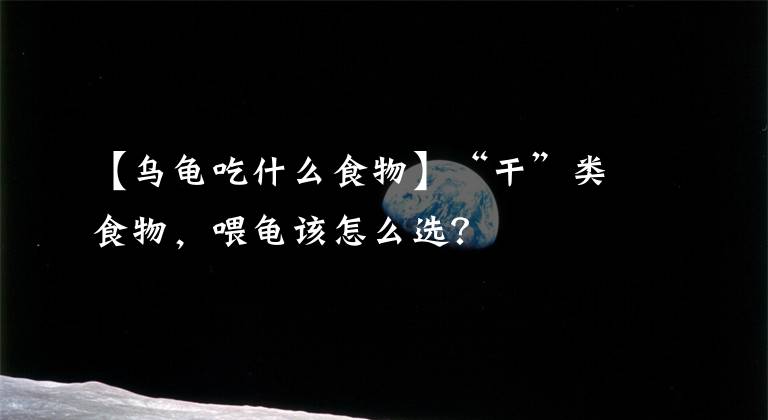 【乌龟吃什么食物】“干”类食物，喂龟该怎么选？