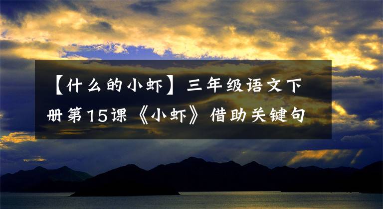 【什么的小虾】三年级语文下册第15课《小虾》借助关键句概括段意