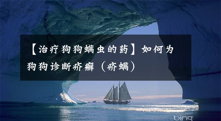 【治疗狗狗螨虫的药】如何为狗狗诊断疥癣(疥螨)