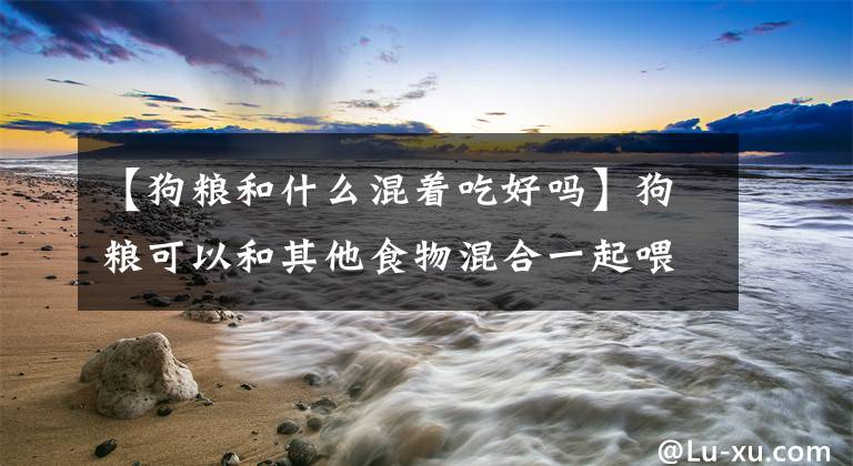 【狗粮和什么混着吃好吗】狗粮可以和其他食物混合一起喂吗?