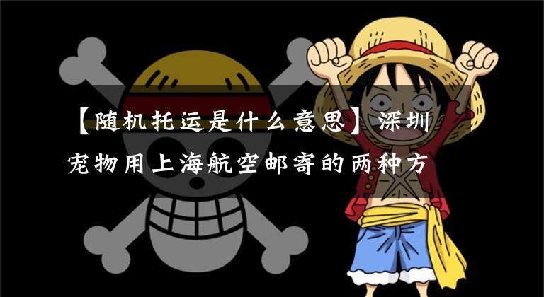 【随机托运是什么意思】深圳宠物用上海航空邮寄的两种方法。