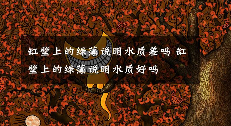 缸壁上的绿藻说明水质差吗 缸壁上的绿藻说明水质好吗