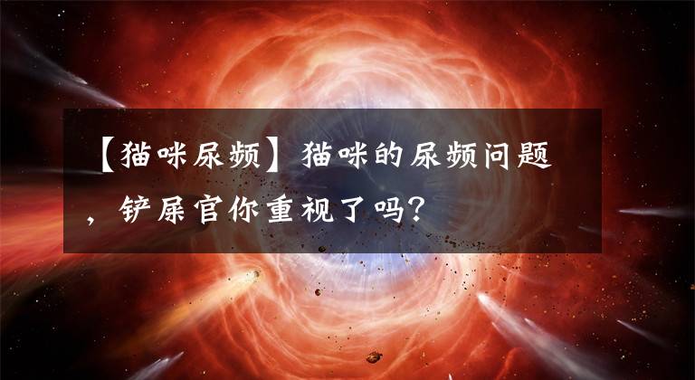 【猫咪尿频】猫咪的尿频问题，铲屎官你重视了吗？