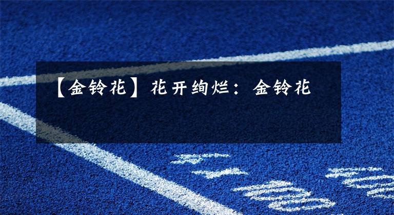 【金铃花】花开绚烂:金铃花