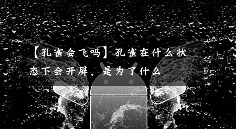 【孔雀会飞吗】孔雀在什么状态下会开屏，是为了什么