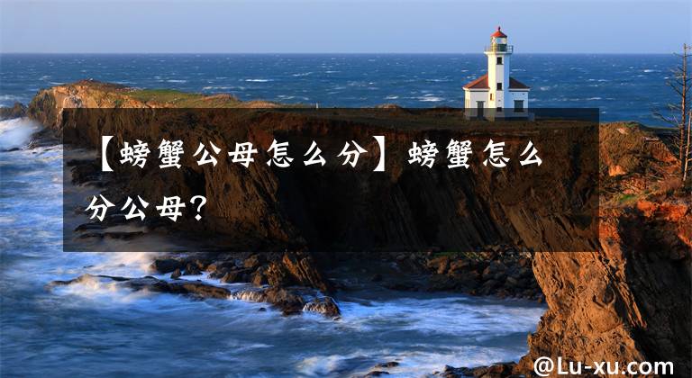 【螃蟹公母怎么分】螃蟹怎么分公母?