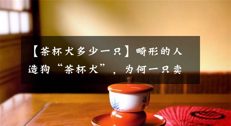 【茶杯犬多少一只】畸形的人造狗“茶杯犬”,为何一只卖五万,了解茶杯犬背后的真相