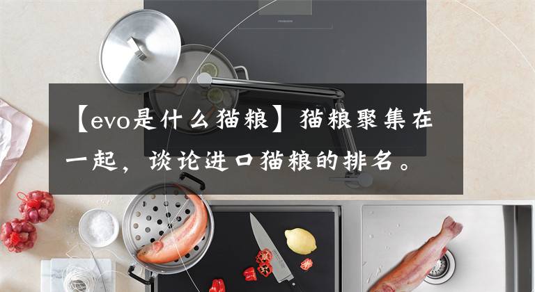 【evo是什么猫粮】猫粮聚集在一起，谈论进口猫粮的排名。