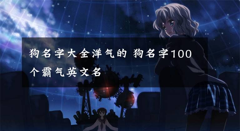 狗名字大全洋气的 狗名字100个霸气英文名