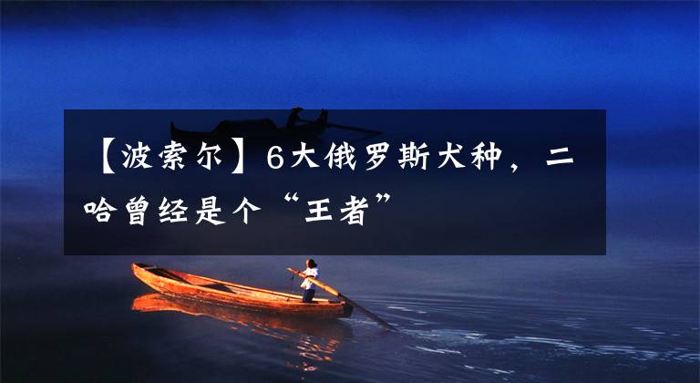 【波索尔】6大俄罗斯犬种，二哈曾经是个“王者”