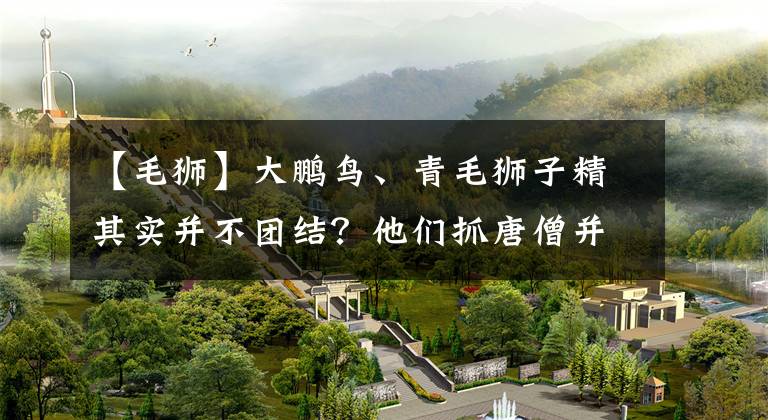 【毛狮】大鹏鸟、青毛狮子精其实并不团结?他们抓唐僧并不是为了吃?