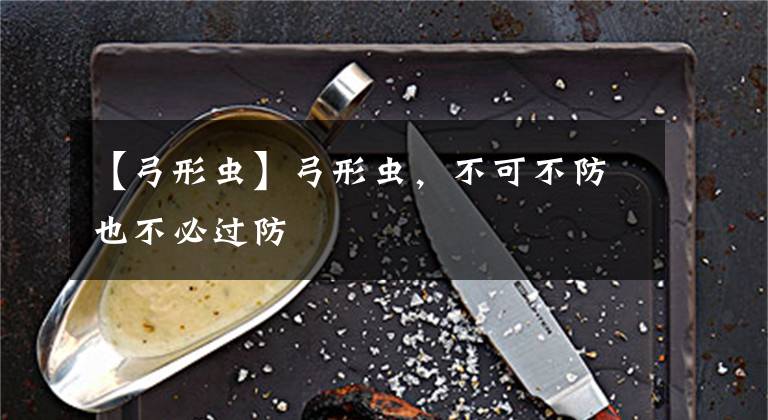 【弓形虫】弓形虫,不可不防也不必过防