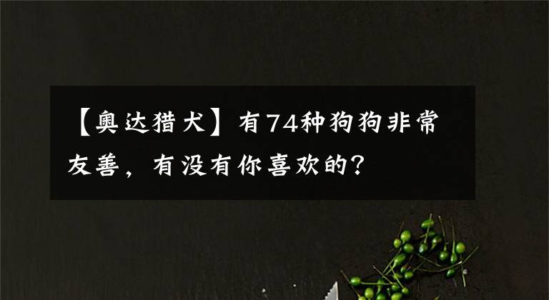 【奥达猎犬】有74种狗狗非常友善,有没有你喜欢的?