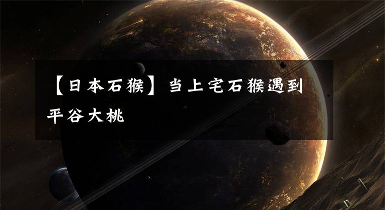 【日本石猴】当上宅石猴遇到平谷大桃
