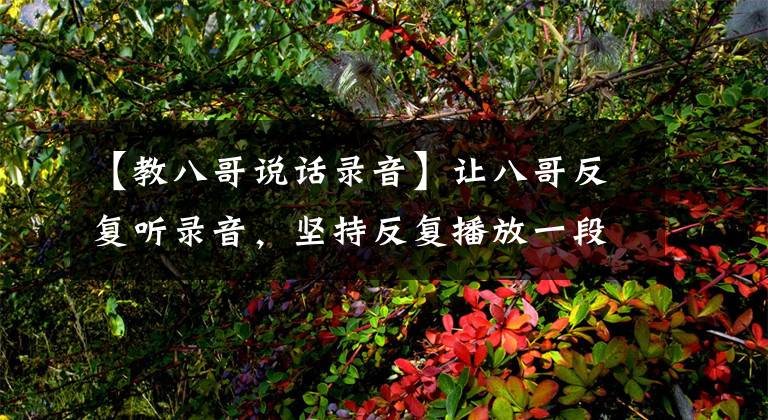 【教八哥说话录音】让八哥反复听录音,坚持反复播放一段时间,八哥自然会开口说话了