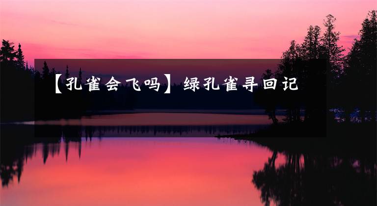 【孔雀会飞吗】绿孔雀寻回记