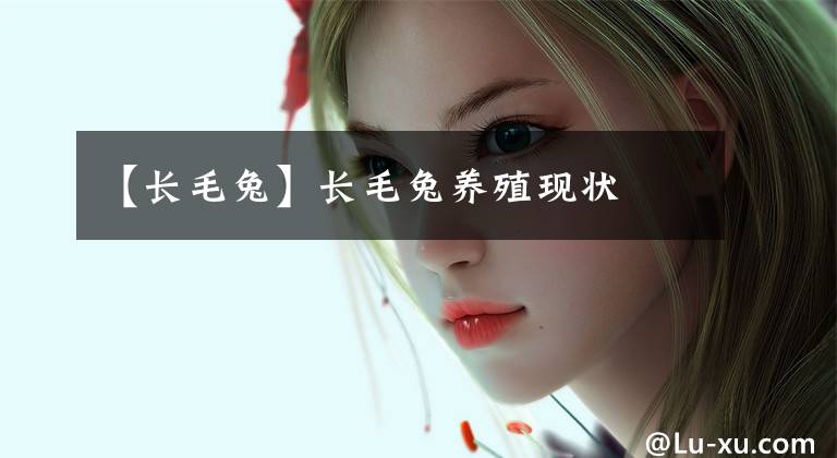 【长毛兔】长毛兔养殖现状