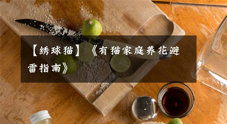 【绣球猫】《有猫家庭养花避雷指南》