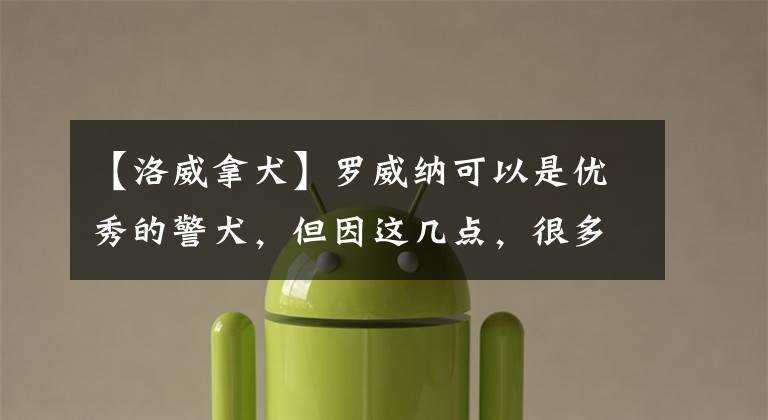 【洛威拿犬】罗威纳可以是优秀的警犬,但因这几点,很多人都不太敢养