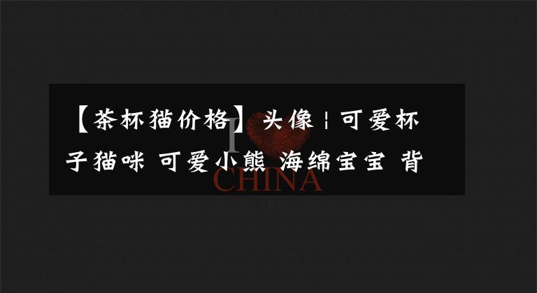 【茶杯猫价格】头像 | 可爱杯子猫咪 可爱小熊 海绵宝宝 背景图