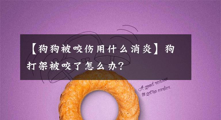 【狗狗被咬伤用什么消炎】狗打架被咬了怎么办？