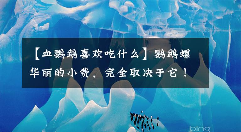 【血鹦鹉喜欢吃什么】鹦鹉螺华丽的小费，完全取决于它！