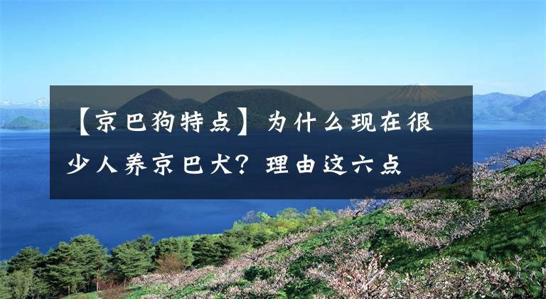 【京巴狗特点】为什么现在很少人养京巴犬？理由这六点