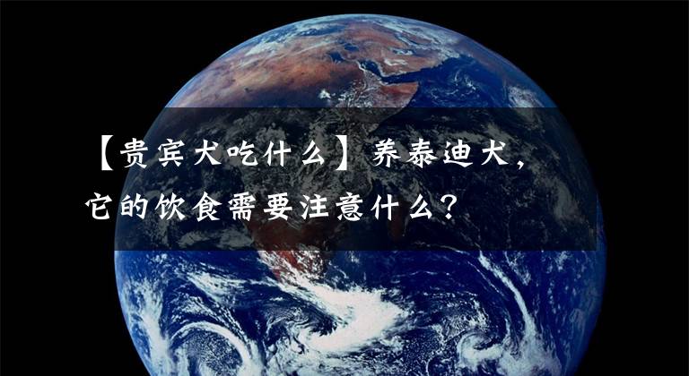 【贵宾犬吃什么】养泰迪犬，它的饮食需要注意什么？