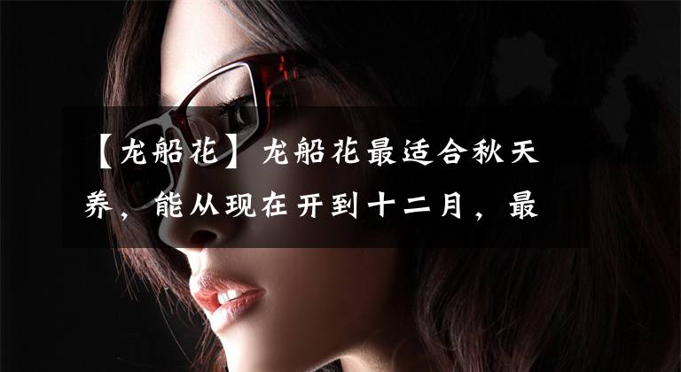 【龙船花】龙船花最适合秋天养，能从现在开到十二月，最关键是特好养