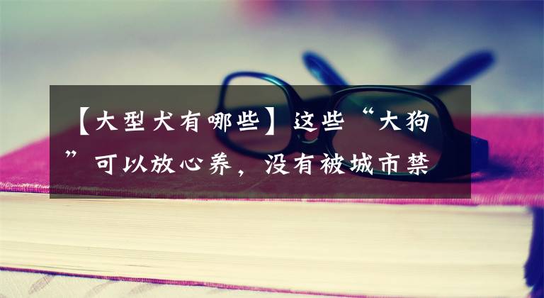 【大型犬有哪些】这些“大狗”可以放心养，没有被城市禁养