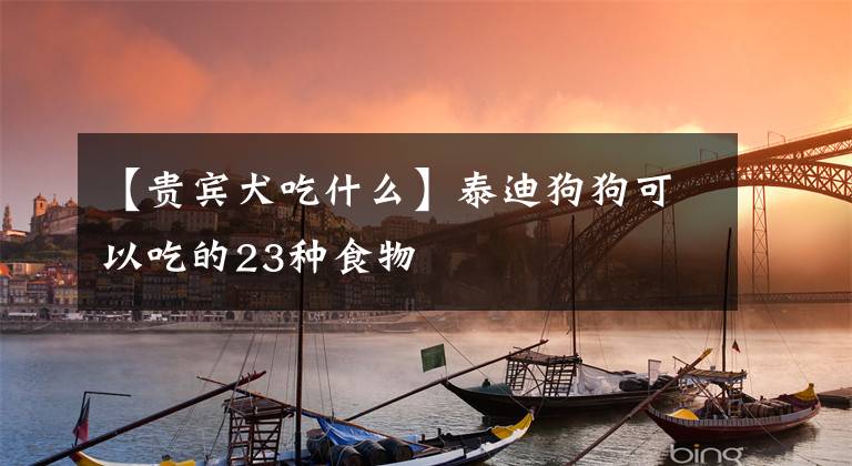 【贵宾犬吃什么】泰迪狗狗可以吃的23种食物