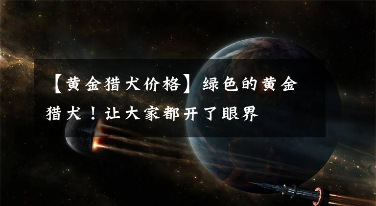 【黄金猎犬价格】绿色的黄金猎犬！让大家都开了眼界