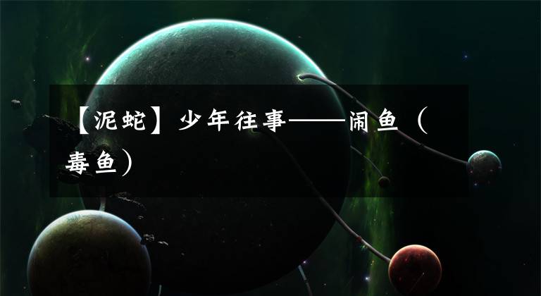 【泥蛇】少年往事——闹鱼（毒鱼）