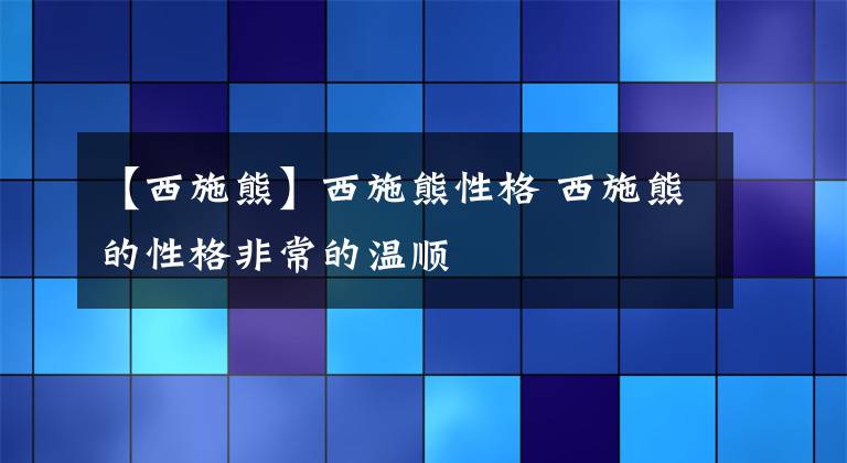 【西施熊】西施熊性格 西施熊的性格非常的温顺