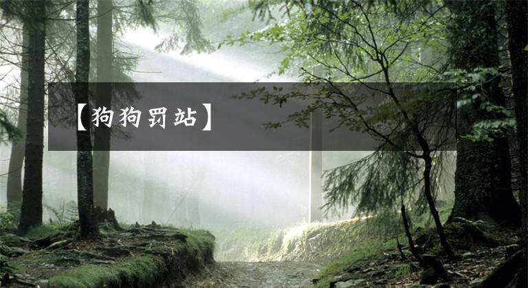 【狗狗罚站】