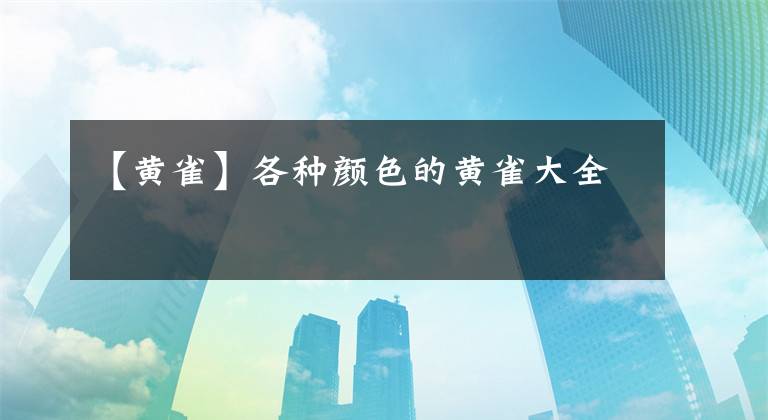 【黄雀】各种颜色的黄雀大全