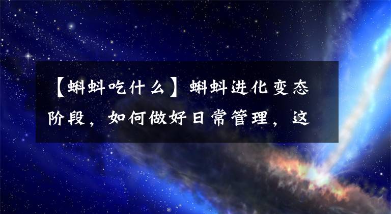 【蝌蚪吃什么】蝌蚪进化变态阶段,如何做好日常管理,这样做让它的成功率再提高