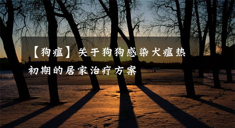 【狗瘟】关于狗狗感染犬瘟热初期的居家治疗方案