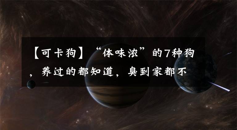 【可卡狗】“体味浓”的7种狗，养过的都知道，臭到家都不想回