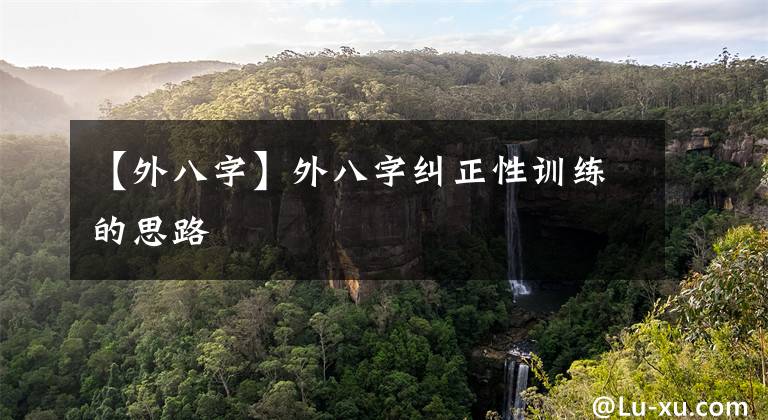 【外八字】外八字纠正性训练的思路