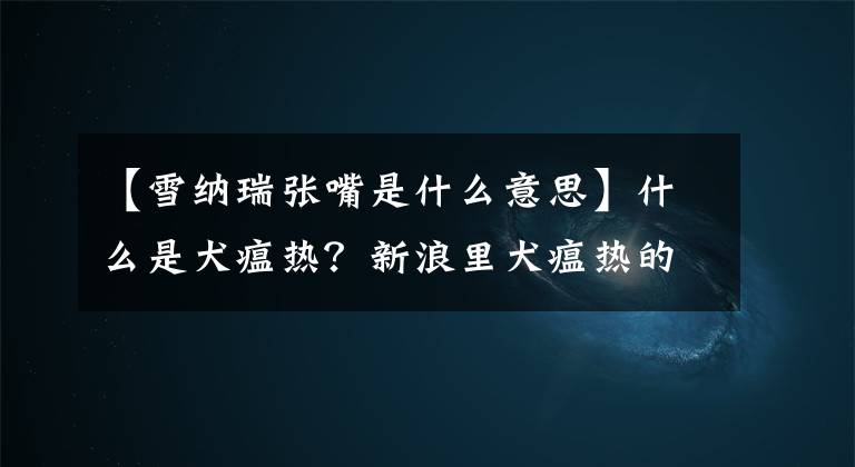【雪纳瑞张嘴是什么意思】什么是犬瘟热？新浪里犬瘟热的症状是什么？犬瘟热的治疗方法