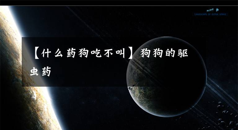 【什么药狗吃不叫】狗狗的驱虫药