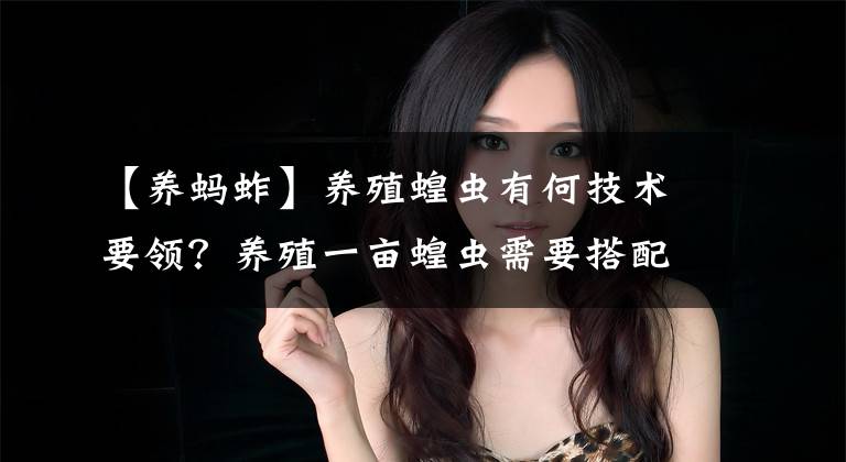 【养蚂蚱】养殖蝗虫有何技术要领？养殖一亩蝗虫需要搭配多少亩牧草？