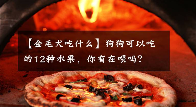 【金毛犬吃什么】狗狗可以吃的12种水果，你有在喂吗？